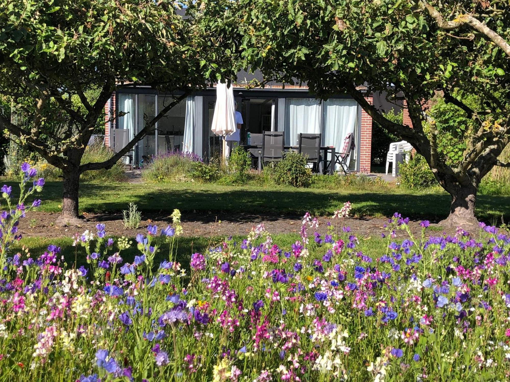 Buitenplaats Schouwen Burgh-Haamstede Exterior photo